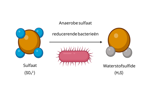 Basystemen Basystemen.Nl Waterstofsulfide Meten H2s Meten Front