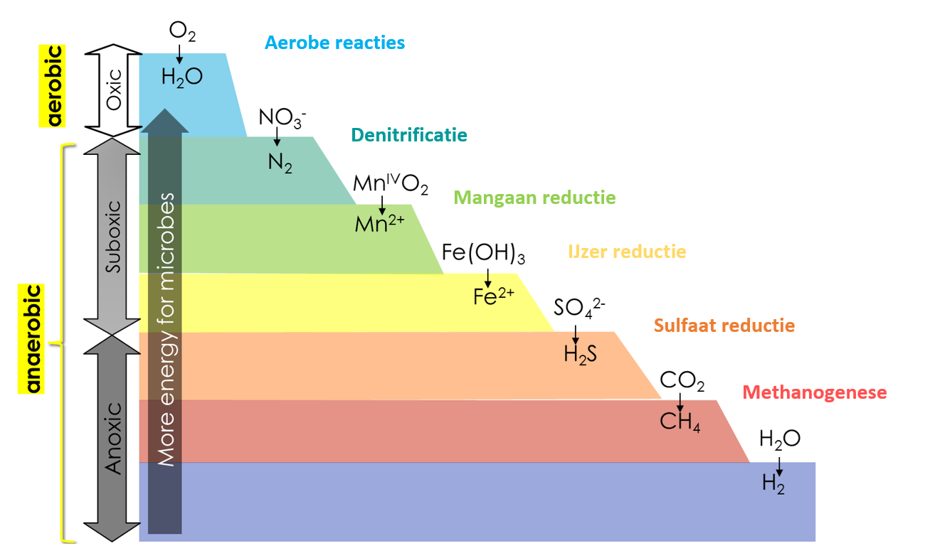 Basystemen Basystemen.Nl Waterstofsulfide Meten H2s Meten Redox Reacties